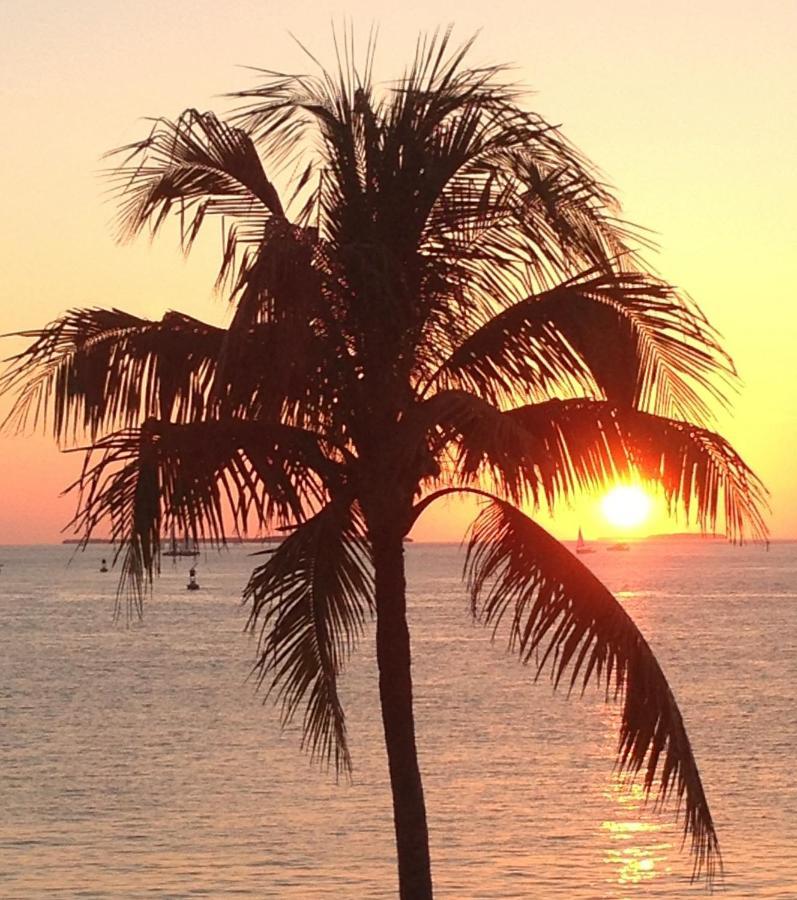 Family, Couples Retreat Near Airport, Cruise Port & Beaches 劳德代尔堡 外观 照片